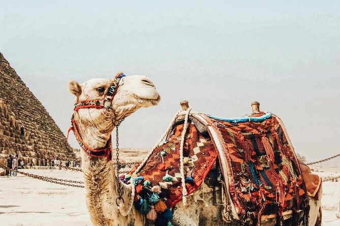 Giza Pyramids Tour - Cancellation Policy