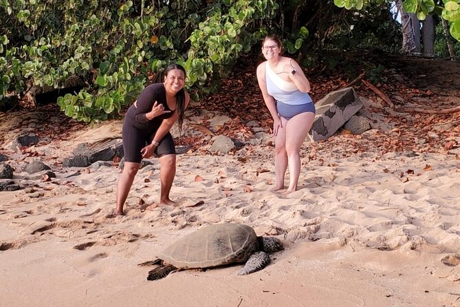 Glass Bottom Kayak - Guaranteed to See Turtles! - Optional Snorkeling for a Closer Look