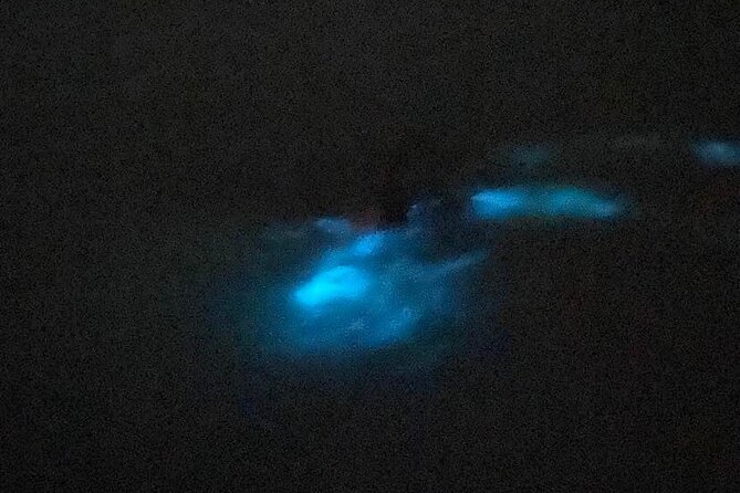 Glistening Waters Luminous Lagoon Night Tour With French Guide - Frequently Asked Questions