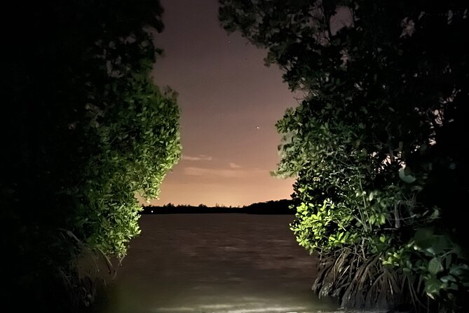 GLOW Clear Kayak Tour - Cancellation and Reviews