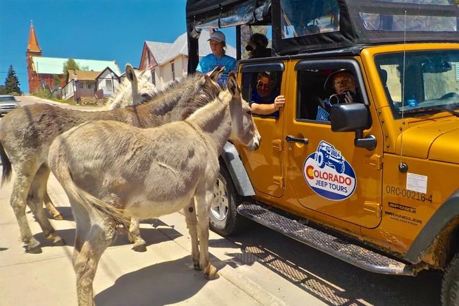Gold Belt Scenic Byway Jeep Tour From Cañon City - Lunch at a Local Bakery