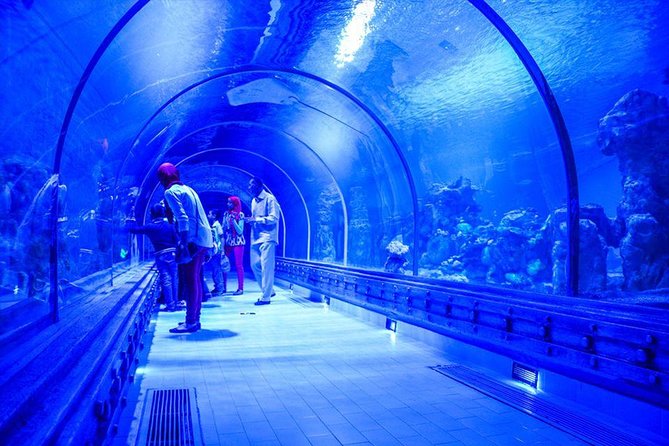 Grand Aquarium Hurghada Amazing Tour With Transfer - Hughada - Accessibility Features