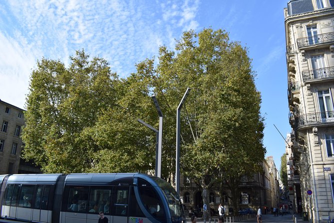 Grand Tour of Bordeaux by Bike - Accessibility Considerations