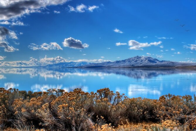 Great Salt Lake and Antelope Island Day Tour - Inclusions and Amenities