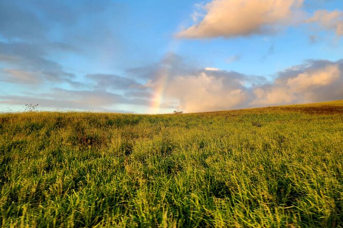 Green Sands Adventure ATV Ride - Scenic Highlights