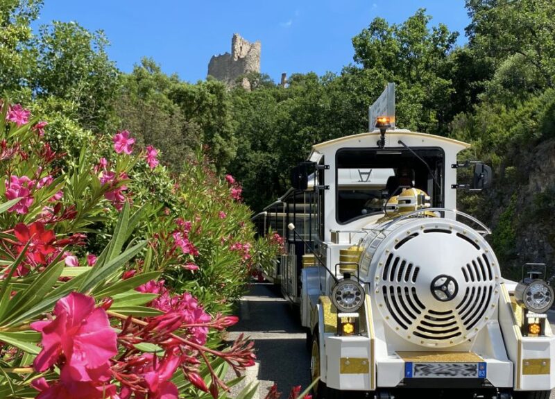 Grimaud: Guided Tour of Port Grimaud & Grimaud by Train - Tour Details