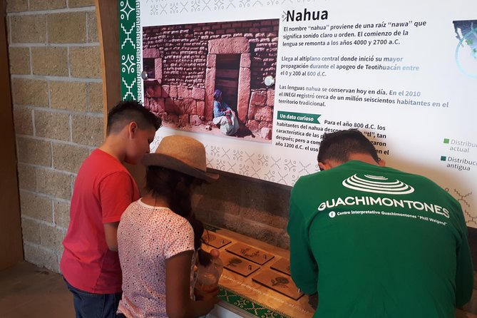 Guachimontones and Tequila Tour - Pricing and Inclusions