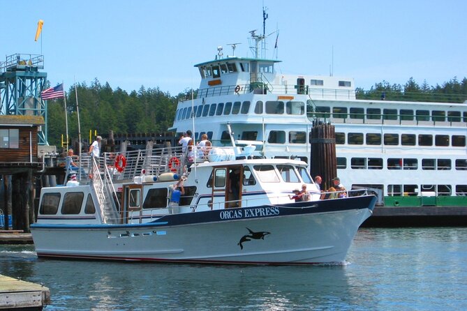 Guaranteed Whale Watching Tour - Customer Feedback