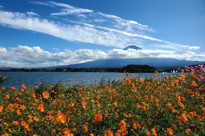 Guided 2 Days Mt. Fuji and Hakone Tour GREEN NUMBER PLATES - Communication and Confirmation