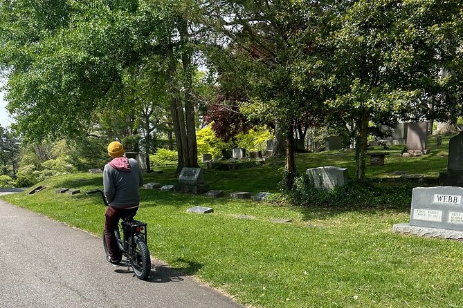 Guided Asheville E-bike Tour of River Arts, Mountains and Murals - Highlights From Reviews