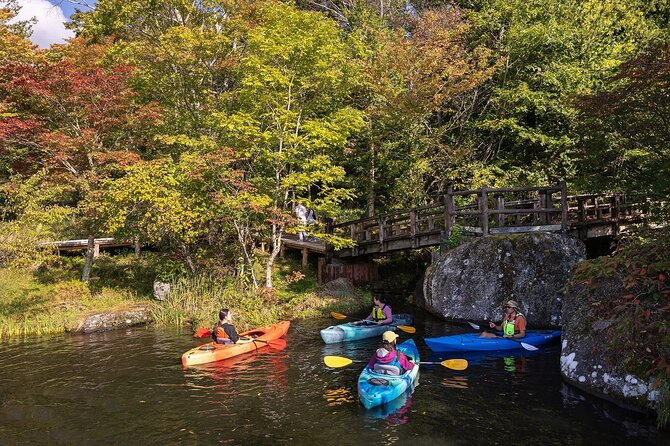 Guided Canoe Tour to the Springs and Highlands of Shirakaba Lake - Explore the Lush Surrounding Forests