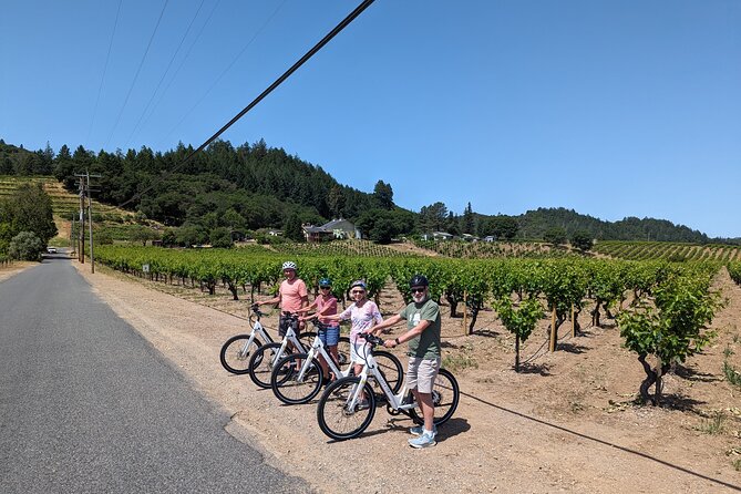 Guided Electric Bike Wine Tour Through Sonoma County - Health and Safety Considerations