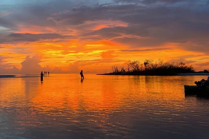 Guided Glow LED Kayak Sunset Activity in Bonita Springs - Meeting and Pickup Information