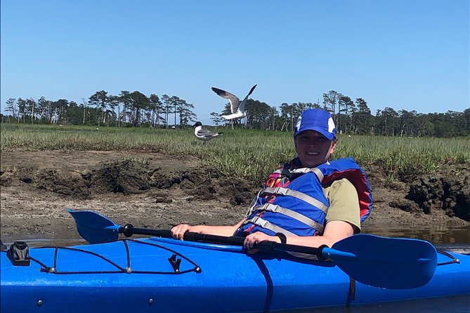 Guided Kayak Tour to See Ponies, Birds, Dolphins and More - Participant Requirements