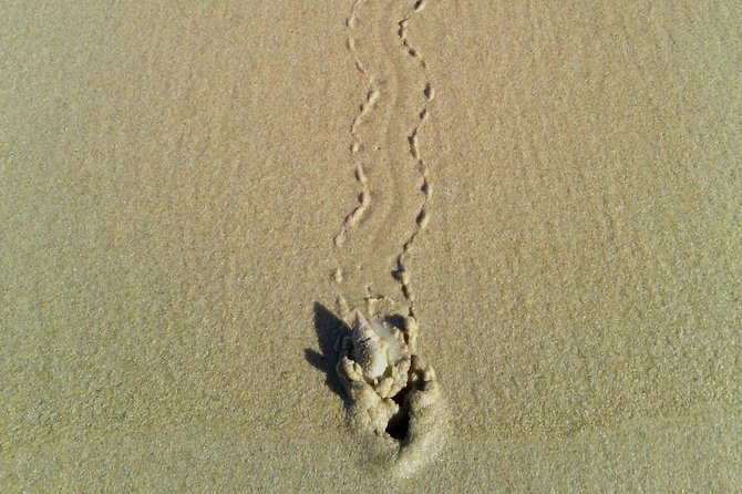 Guided Marine Walk: - Sardinia Bay (Marine Protected Area) - 2 Hours - Pricing Structure