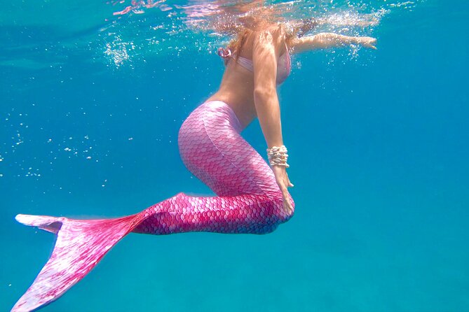 Guided Mermaid Snorkel Experience Review - Meeting Point and Check-in Process