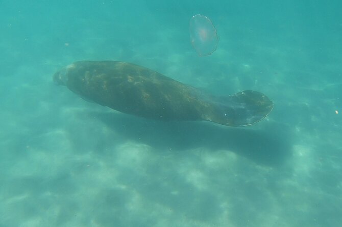 Guided Reef Snorkeling Tour in Pompano Beach Review - Additional Information