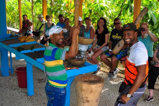Guided Safari Tour in Punta Cana - Pickup and Meeting