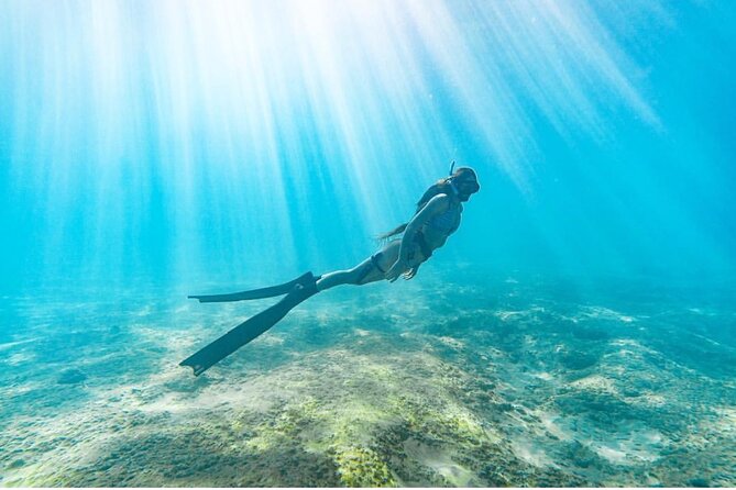 Guided Snorkeling for Beginners With Flotation Wetsuit - Positive Experiences From Participants