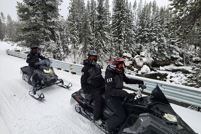 Guided Snowmobile Tours In The National Volcanic Monument - Navigating the Scenic Trails