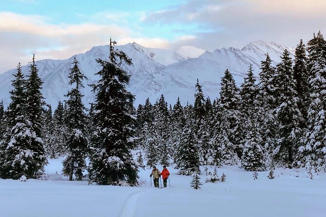 Guided Snowshoeing Adventure in Seward, Alaska - Physical Requirements