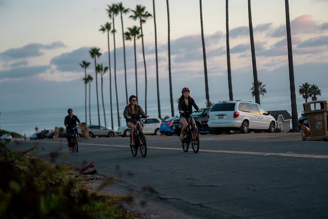 Guided South Coast Electric Bike Tour Review - Highlights of the Electric Bike Ride