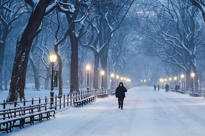 Guided Tour Inside Central Park With Pedicab - Experiencing the Thrill of a Pedicab Tour