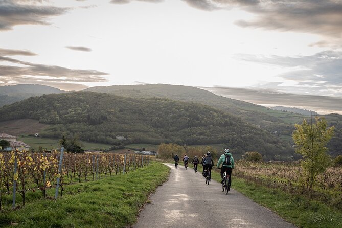 Guided Tour of Beaujolais by Electric Bike and Wine Tasting - Key Points
