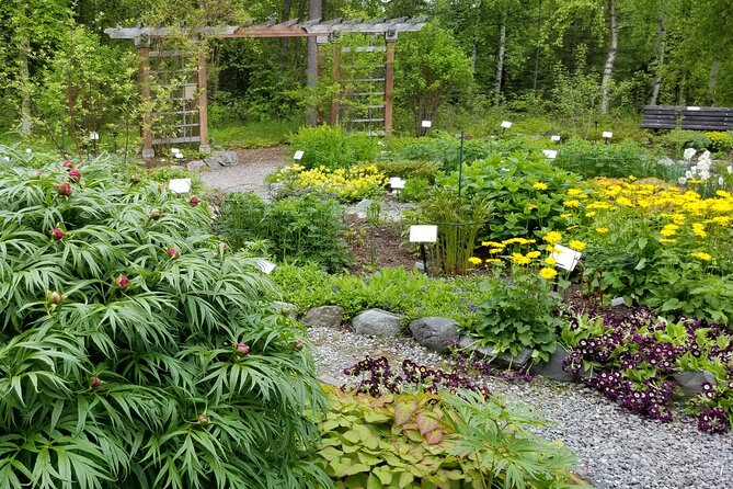 Guided Tour of the Alaska Botanical Garden - Tour Experience