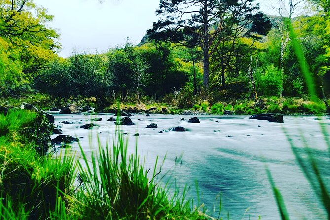 Guided Tour The Ring of Kerry, Skellig Ring and Valencia Island - Booking and Pricing