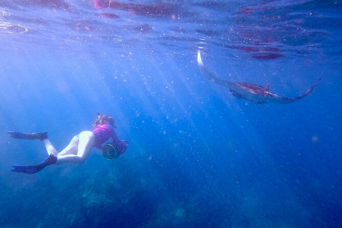 Guided Turtle Town Snorkel Tour With Sea Scooter - Makena - Meeting and Pickup Details