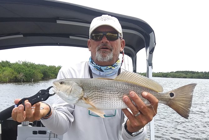 Guided Two Hour Boat Tour of the Indian River Lagoon - Engaging Interactions
