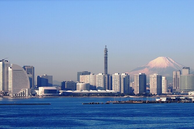 Guided Yokohama Port to Mt. Fuji Private Tour GREEN NUMBER PLATES - Accessibility