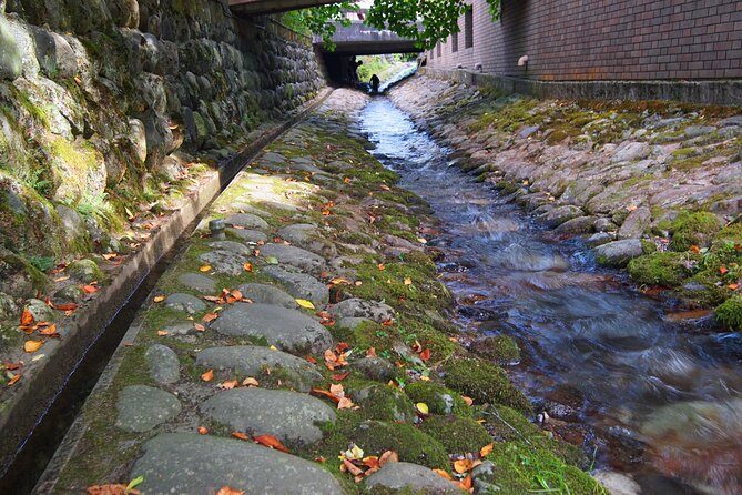 Gujo Hachiman All Must-Sees Full Day Private Tour With Government-Licensed Guide - Accessibility Information