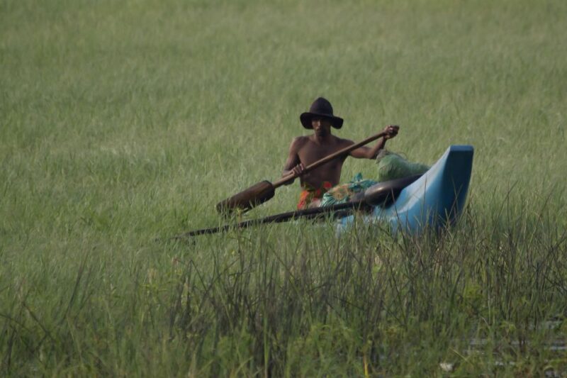 Habarana: Guided Birdwatching Tour - Included in the Tour