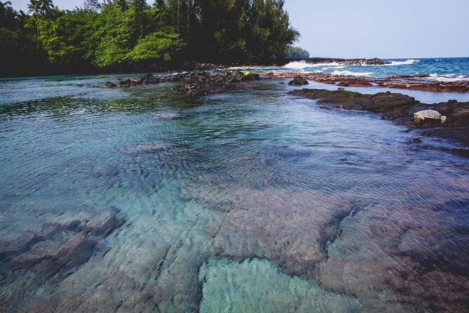 Hā'ena Activity Review: A Unique Hawaiian Experience - Unique Cultural Experiences