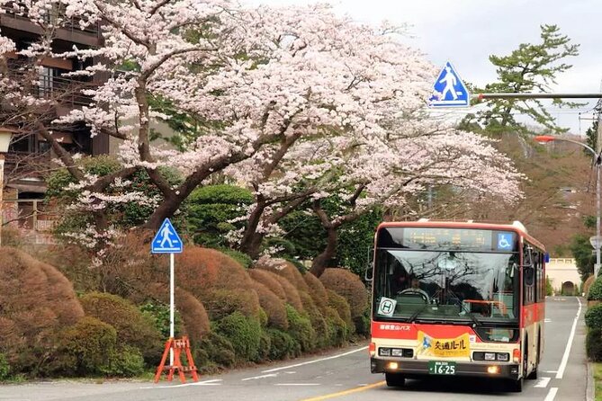 Hakone FreePass, 2-3 Days Japan - Important Information