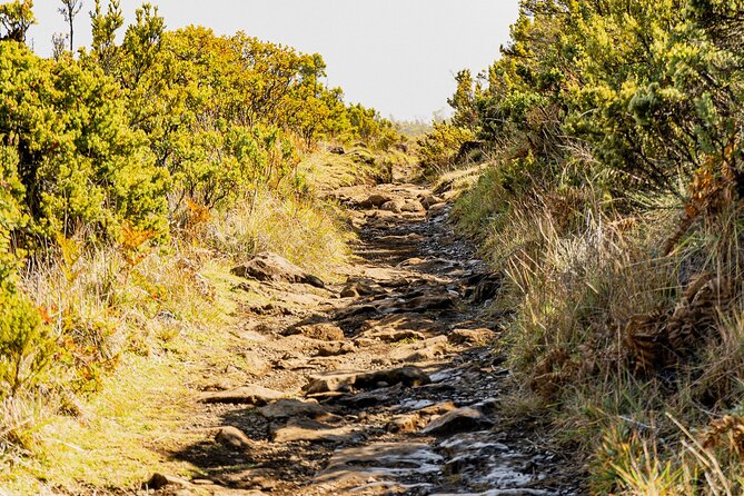 Haleakala Crater Hiking Experience - Guided Hiking Experience