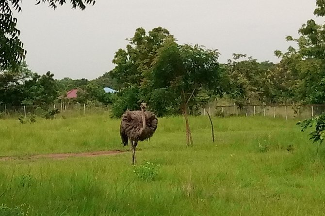 Half-day Accra Safari Tour - Whats Included in the Tour