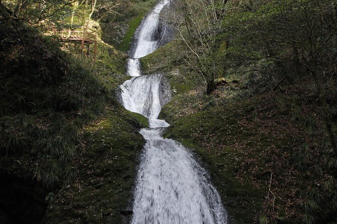 Half Day Countryside Tour in Shinshiro Japan - Accessibility and Participation