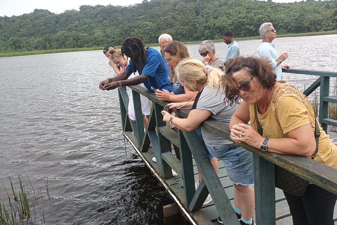 Half-Day Hawaiian Leis Chocolate Waterfalls Beach Tour - Booking Information