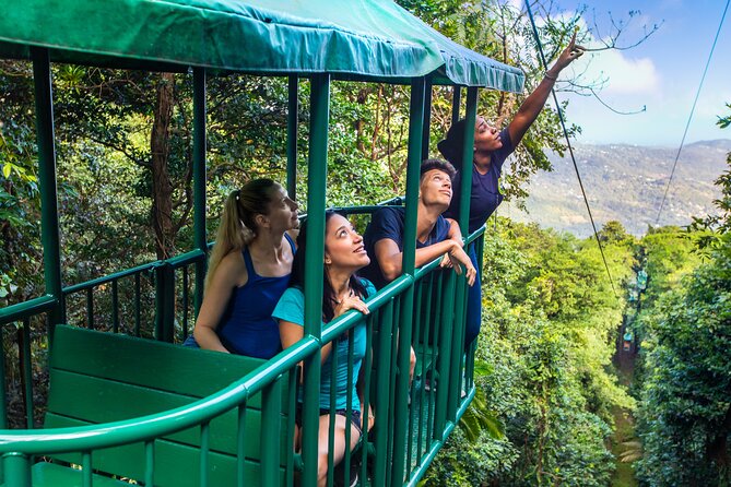 Half-Day Hiking Adventure With Aerial Tram & Zipline in St Lucia - Canopy Zipline Course