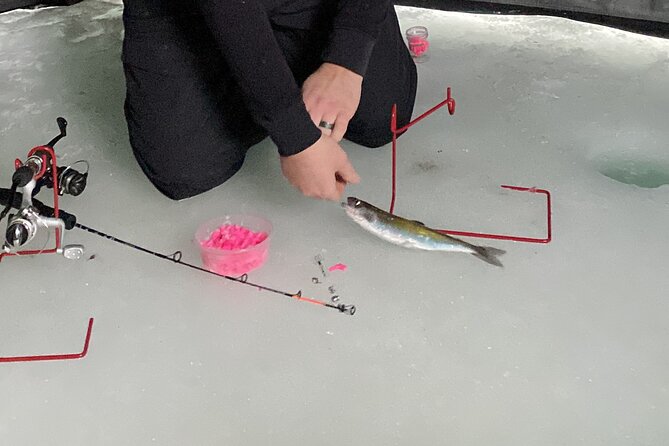 Half Day Ice Fishing Adventure in Wasilla - Meeting and Pickup Details