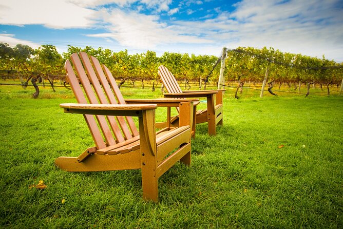 Half-Day Private Long Island Wine Tour Experience - Wine Tasting Experience