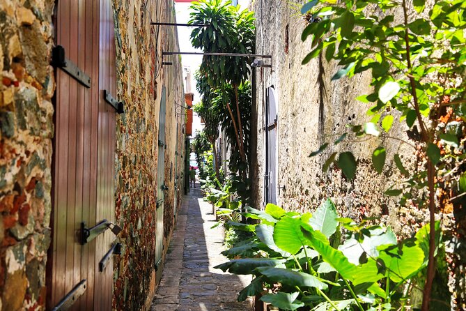 Half Day Private Tour in Fort Charlotte and Queens Drive - Additional Considerations