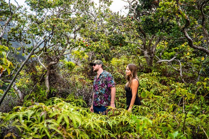 Half Day Private VIP Road to Hana Tour - Personalized Attention and Impromptu Photo Stops