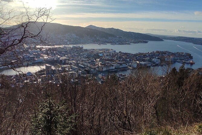 Half-Day Private Walking Tour in Bergen With Dinner and Funicular - Accessibility Features