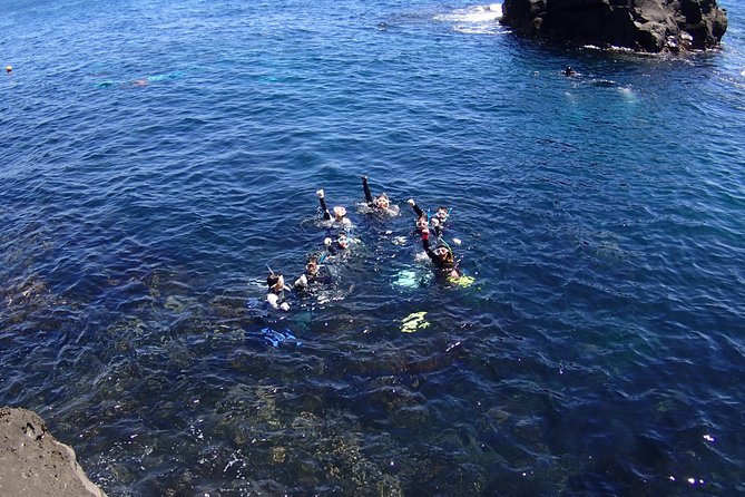 Half-Day Snorkeling Course Relieved at the Beginning Even in the Sea of Izu, Veteran Instructors Will Teach Kindly - Health and Safety Information
