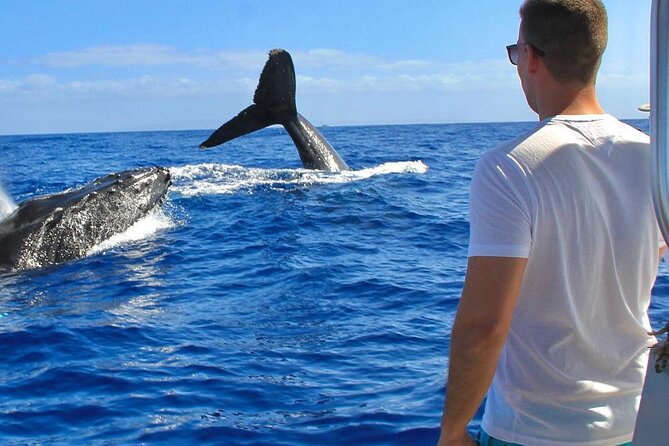 Half-Day Snorkeling Experience in Los Cabos, Open Bar & Snacks - Meeting and Check-In Information