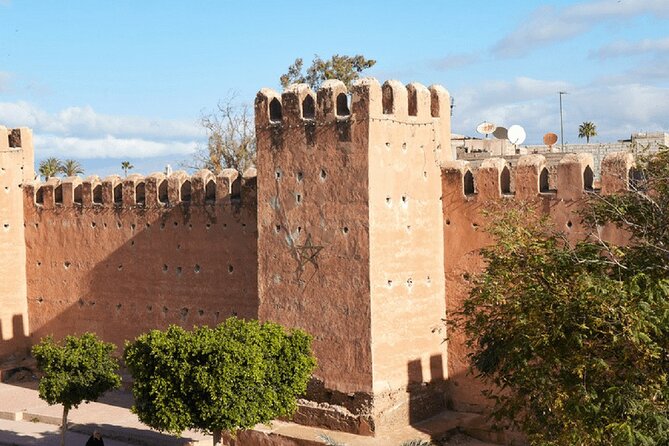Half Day Tour : Agadir Goats in Argan Trees & Souk El Had Market - Traveler Experiences